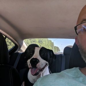 Meet your Posher, George